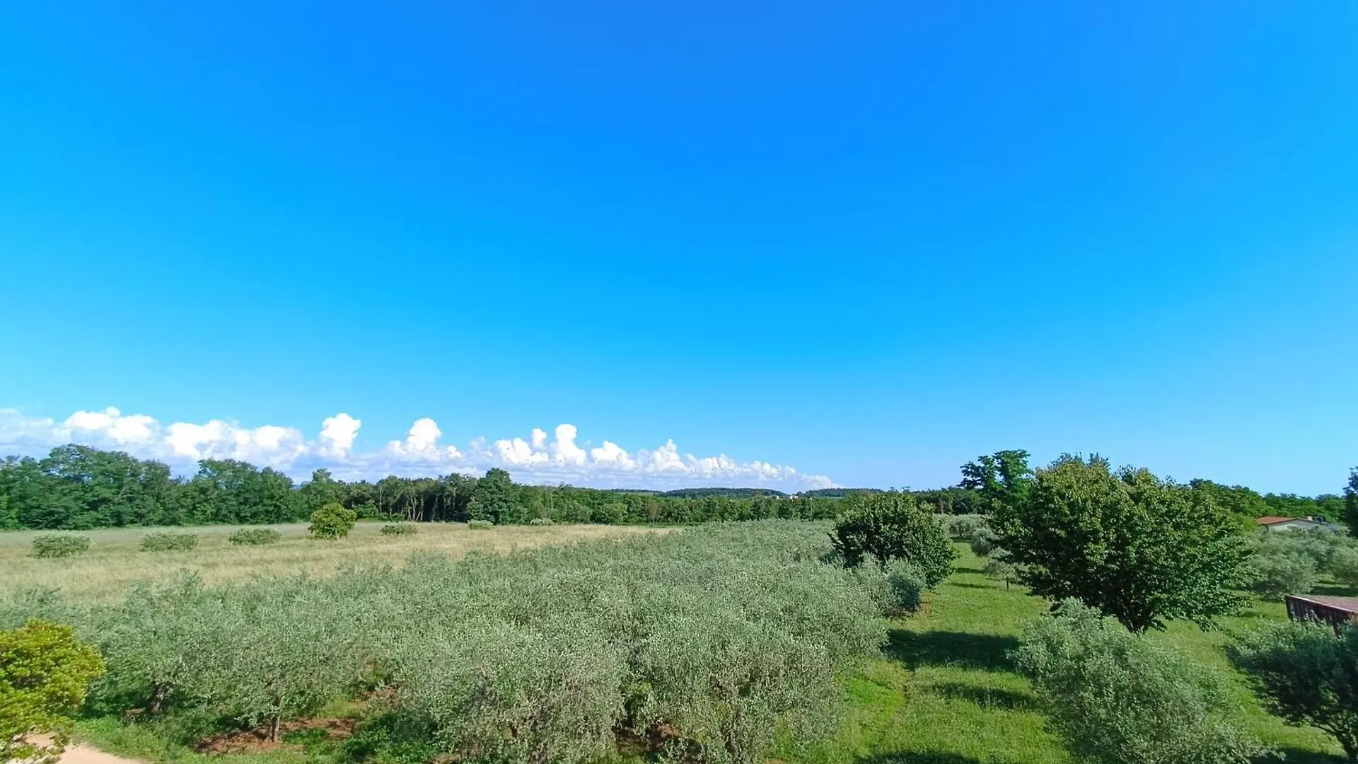 Apartamento Apartman Ika Umago